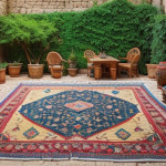 Köpek Gibi Pişman Etme Ritüeli